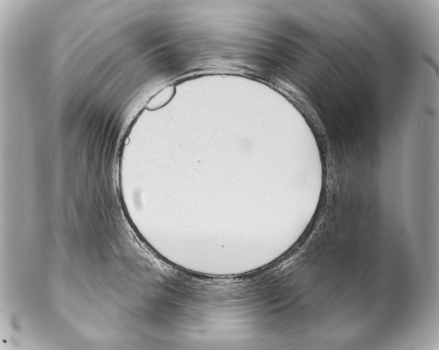 X0000102041188200808151400