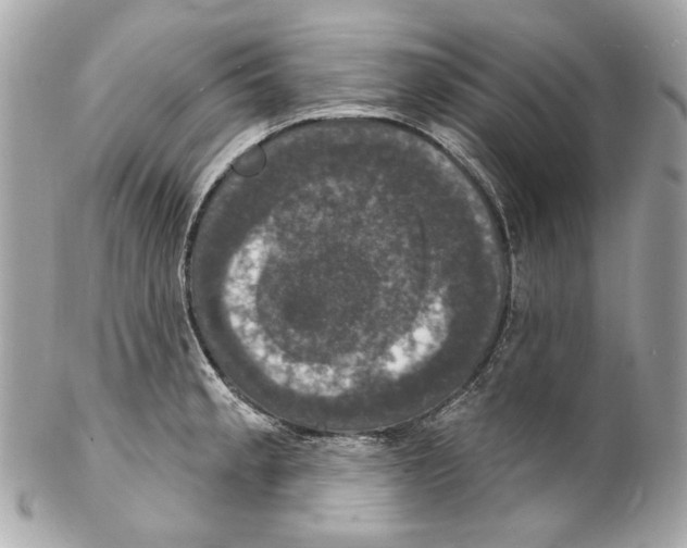 X0000102041189200808151400