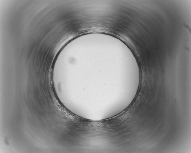 X0000102041190200808151400
