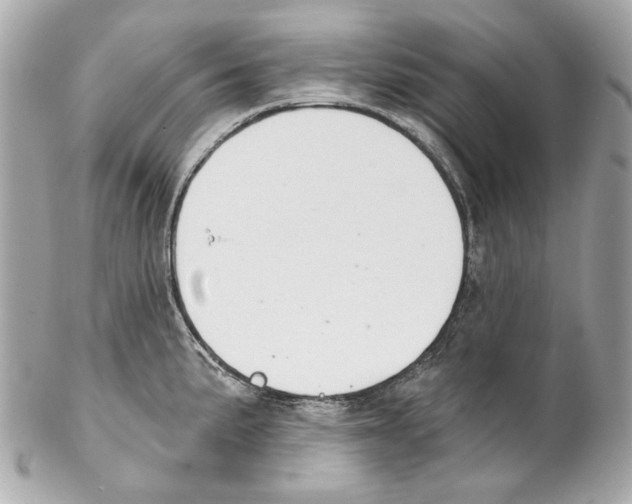 X0000102041191200808151400