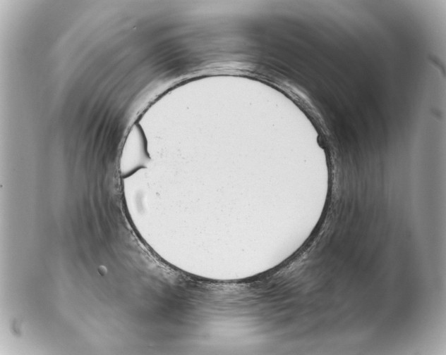 X0000102041192200808151359