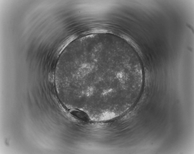X0000102041193200808151359