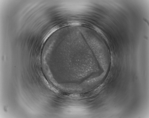 X0000102041194200808151359