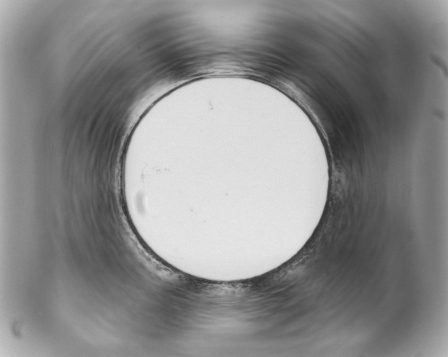 X0000102041195200808151359