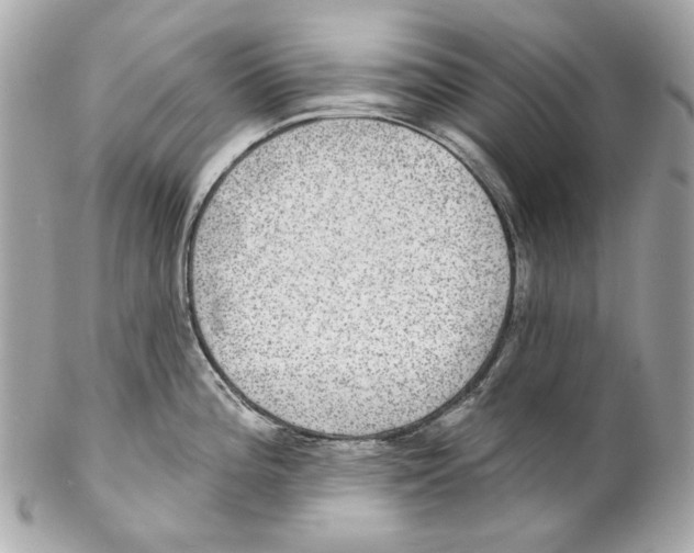 X0000102041196200808151359