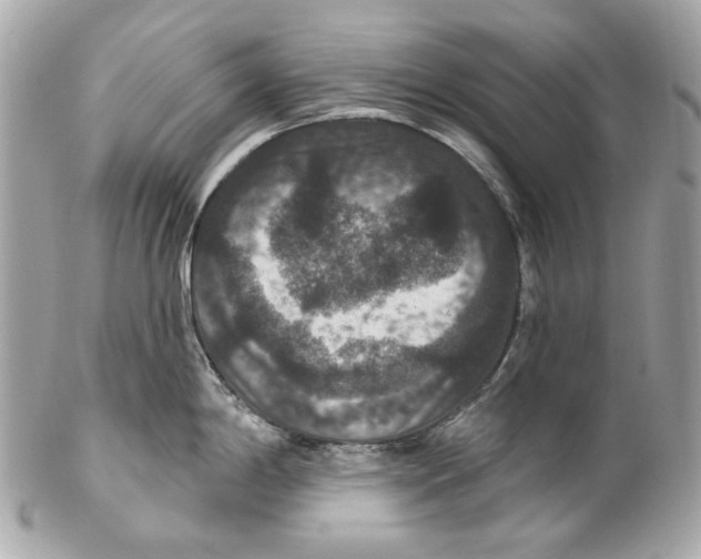 X0000102041198200808151359