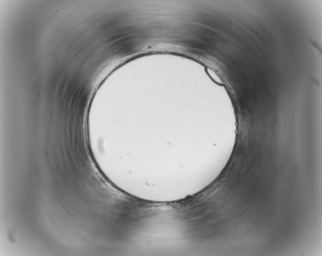 X0000102041199200808151359