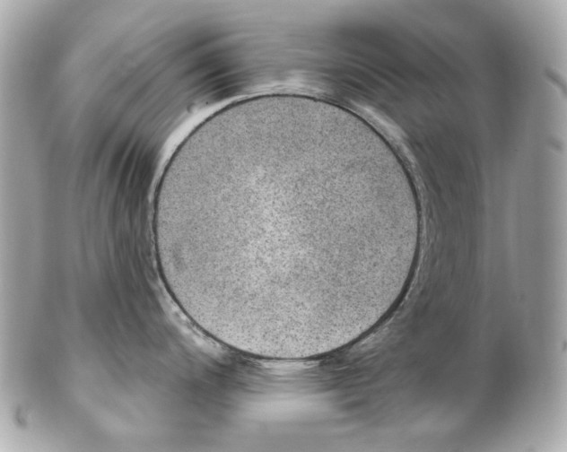 X0000102041200200808151359