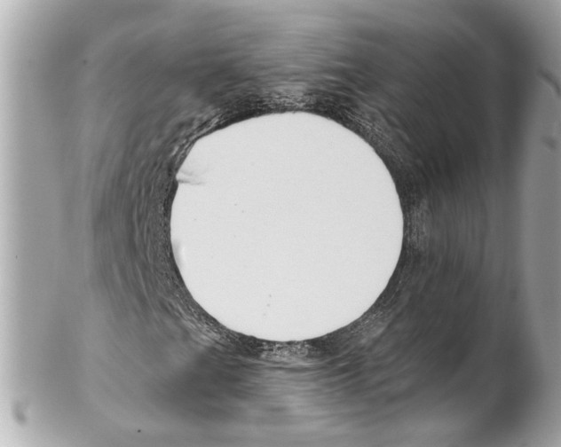 X0000102041201200808151359