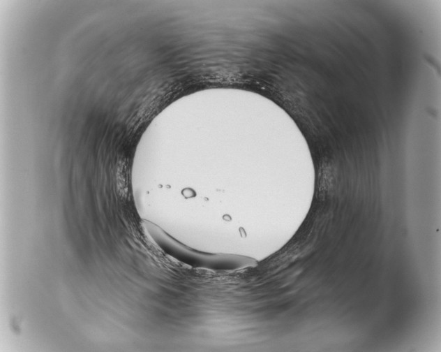 X0000102041202200808151359