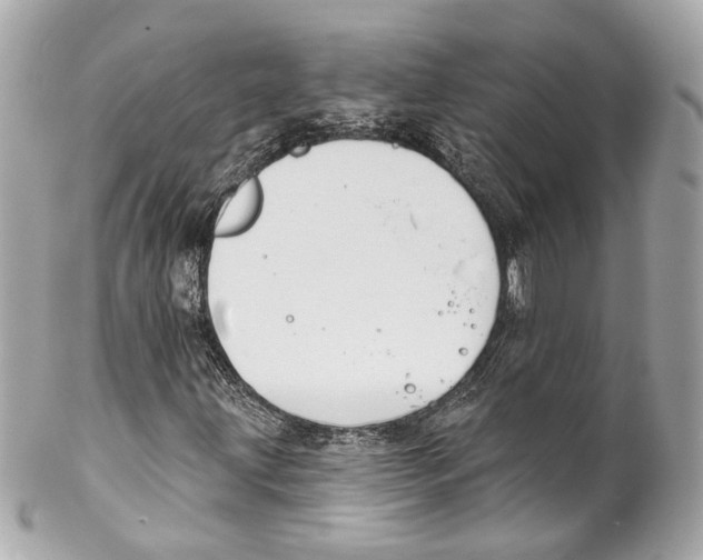X0000102041203200808151359