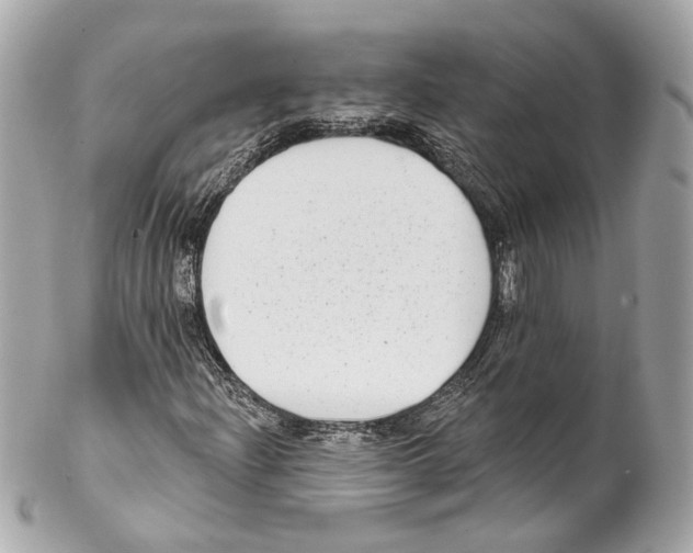 X0000102041204200808151359