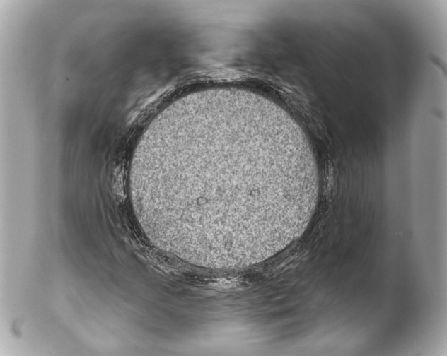 X0000102041205200808151359