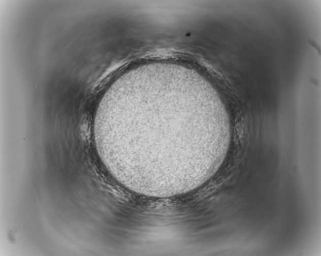 X0000102041206200808151359