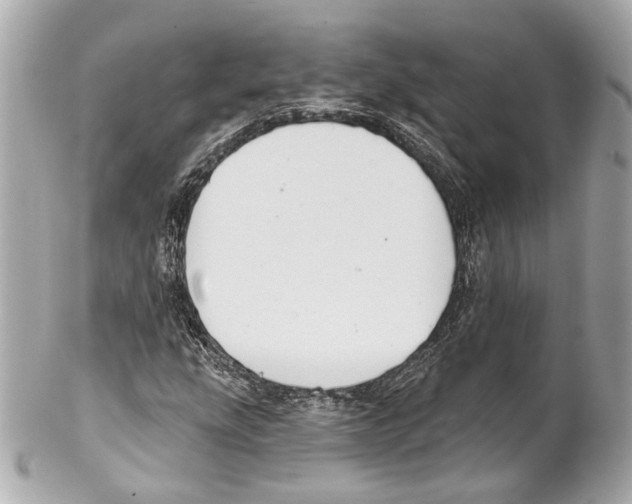 X0000102041207200808151359