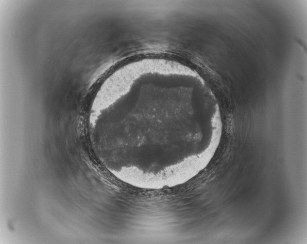 X0000102041208200808151359