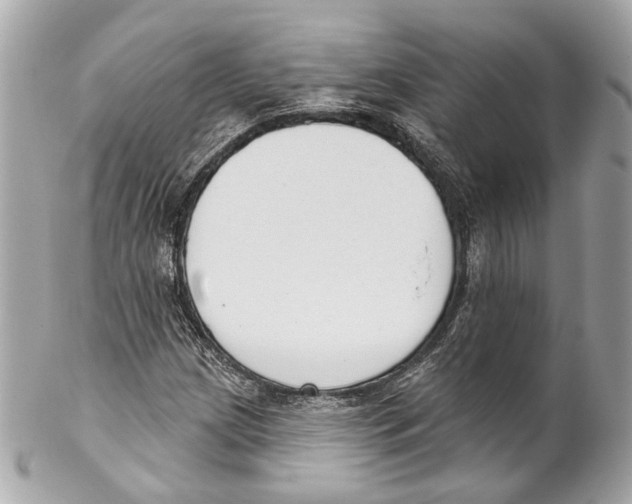 X0000102041209200808151359