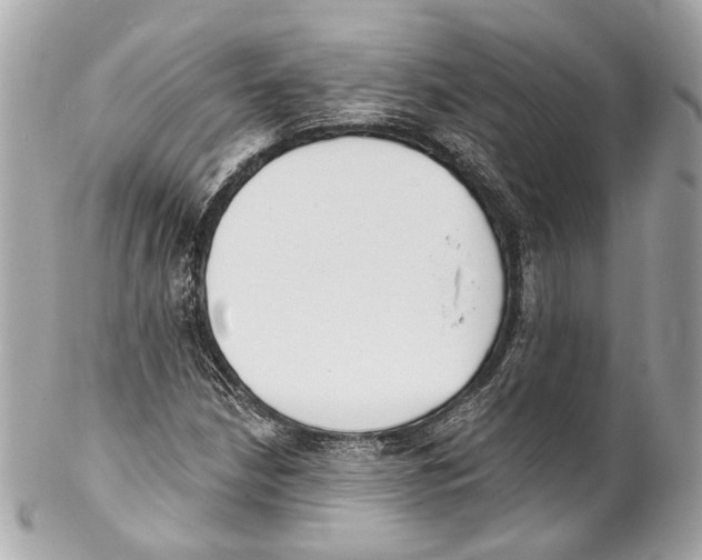 X0000102041210200808151359