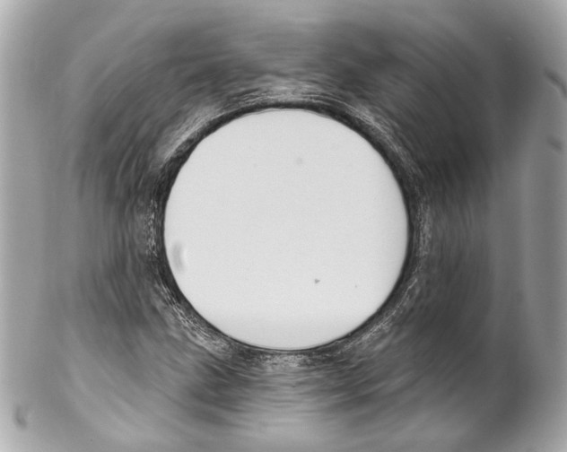 X0000102041211200808151359