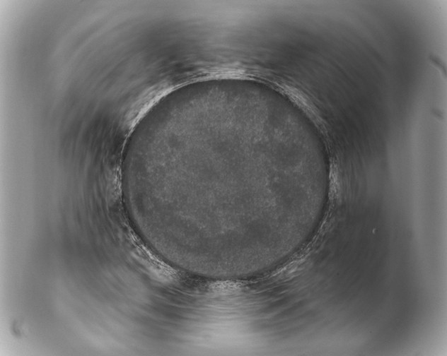 X0000102041212200808151359