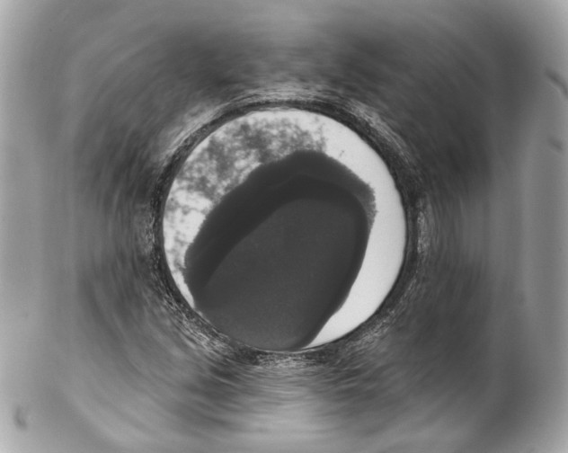 X0000102041213200808151359