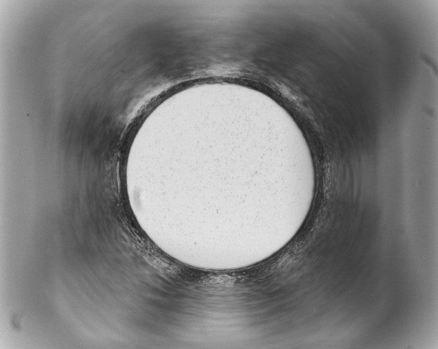 X0000102041214200808151359