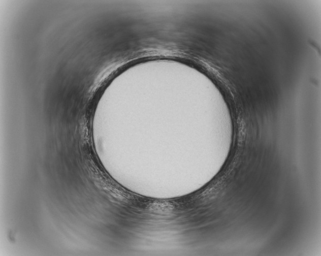 X0000102041215200808151359