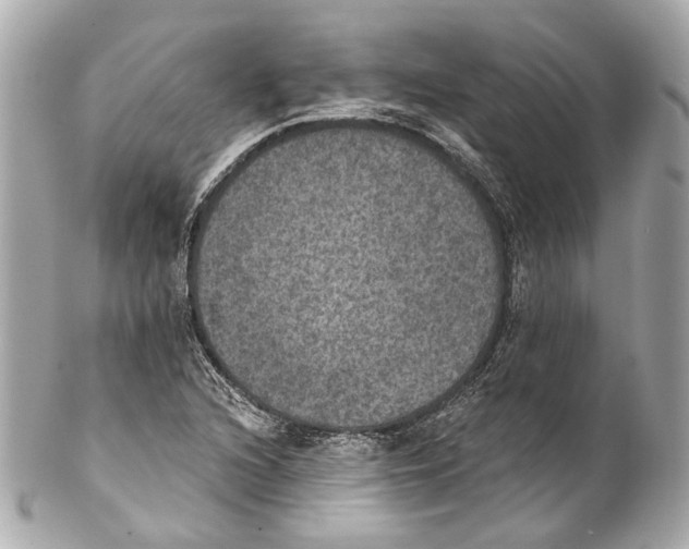 X0000102041216200808151359