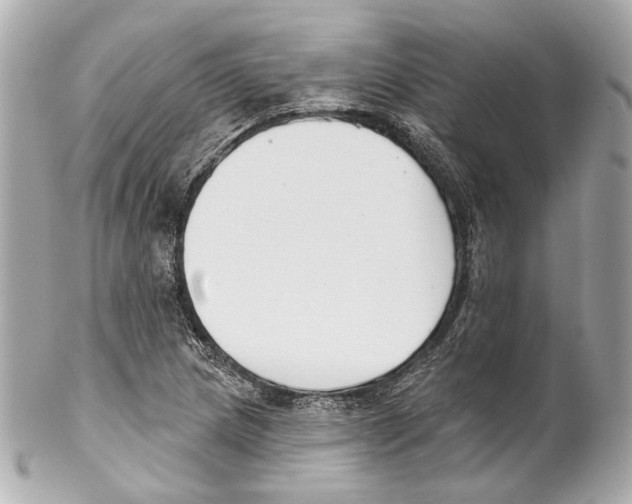 X0000102041217200808151359