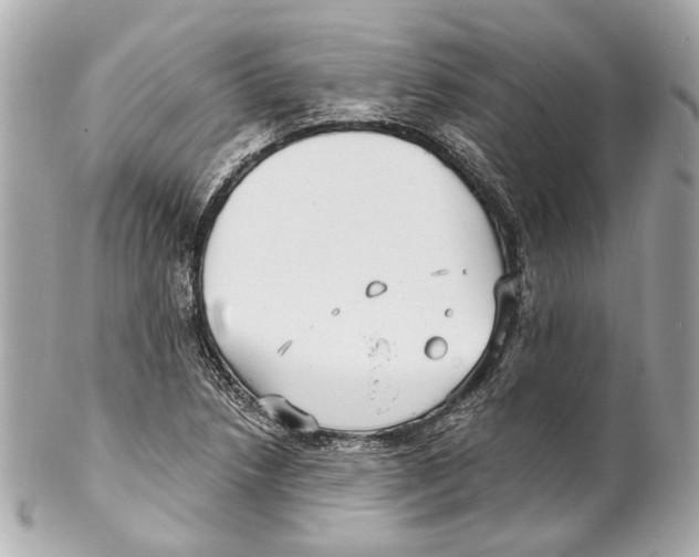 X0000102041218200808151359