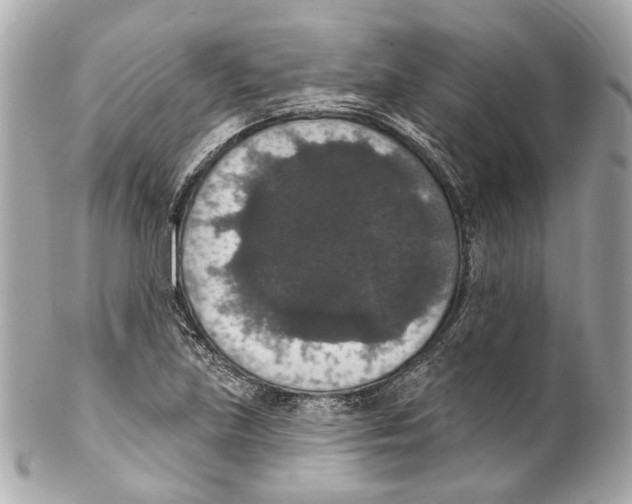 X0000102041219200808151359