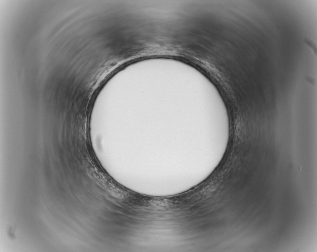 X0000102041220200808151359