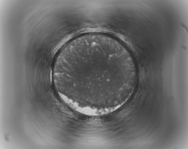 X0000102041221200808151359