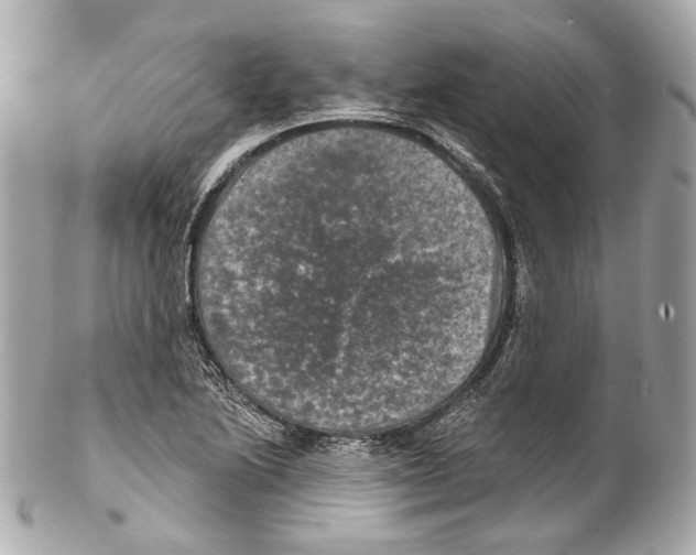 X0000102041222200808151359