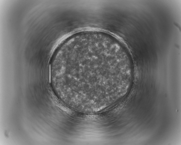 X0000102041223200808151359