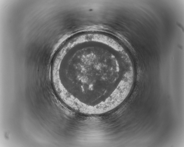X0000102041224200808151359