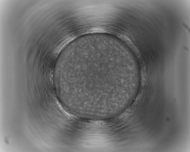 X0000102041225200808151359