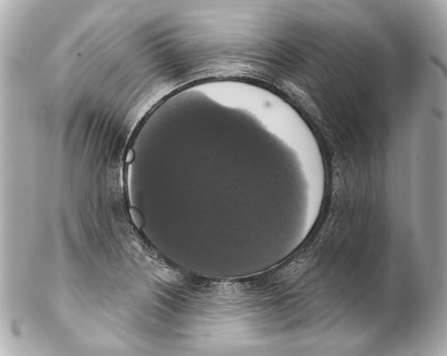 X0000102041226200808151359