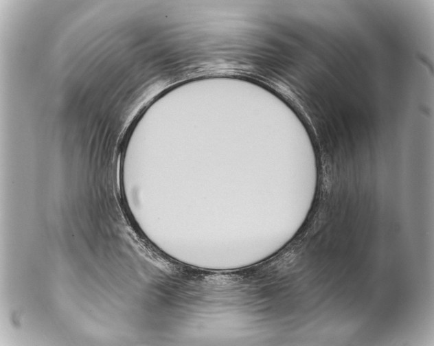 X0000102041227200808151359