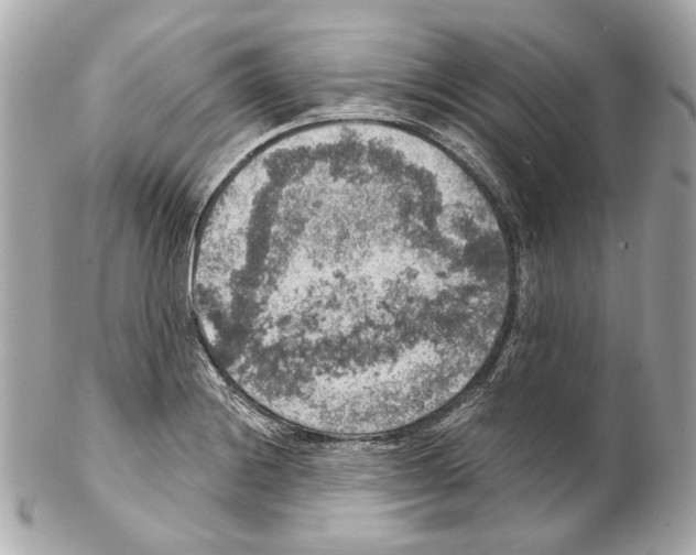 X0000102041228200808151359