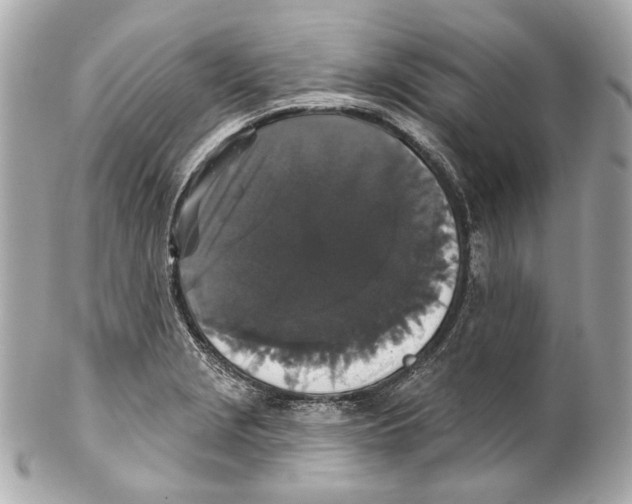 X0000102041229200808151359