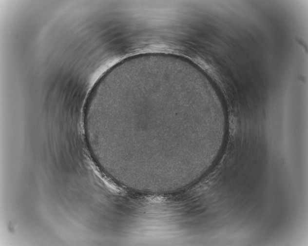 X0000102041230200808151359