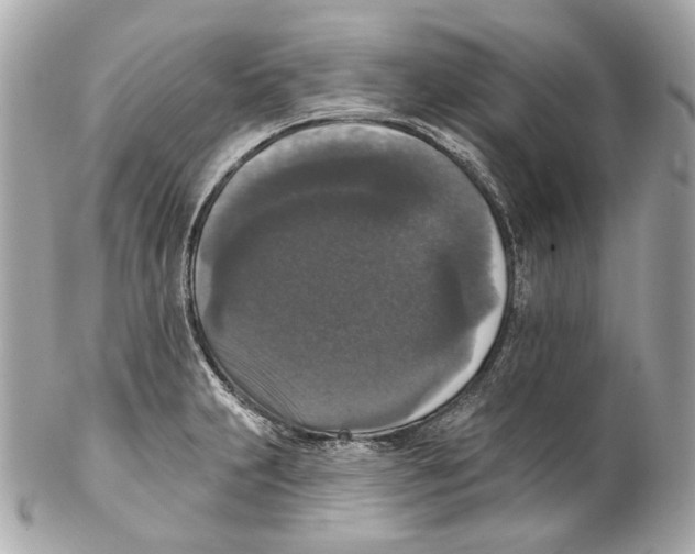 X0000102041231200808151359