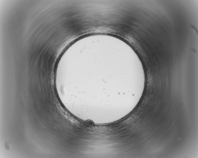 X0000102041232200808151359