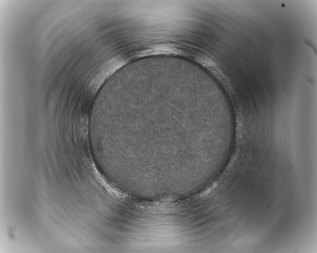 X0000102041233200808151359