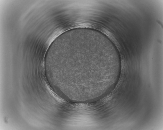 X0000102041234200808151359
