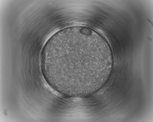 X0000102041235200808151359
