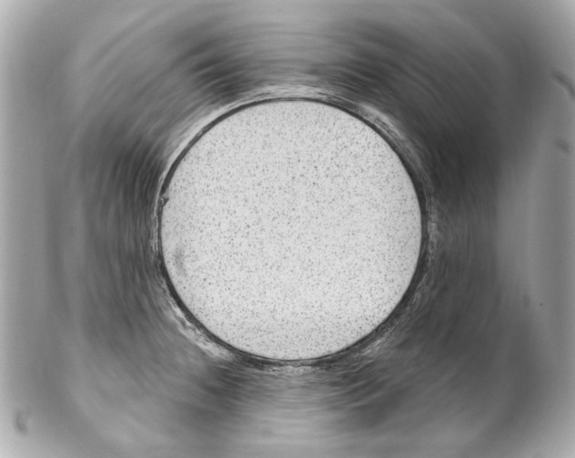X0000102041236200808151359