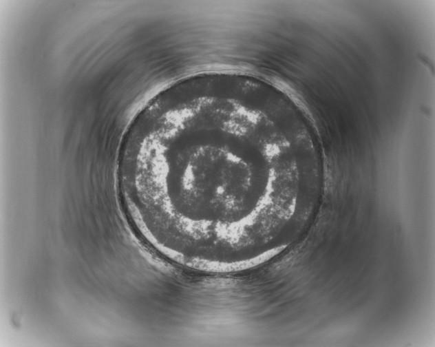 X0000102041237200808151359
