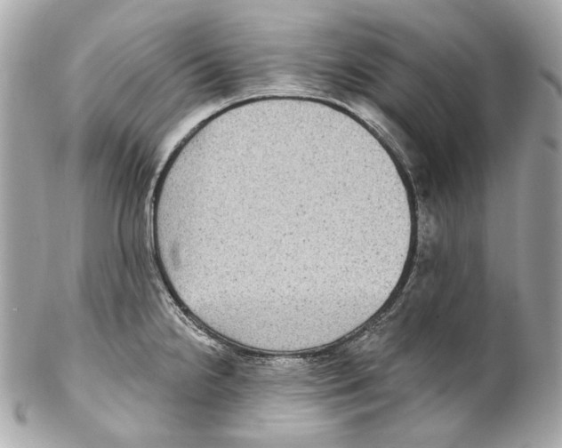 X0000102041238200808151359